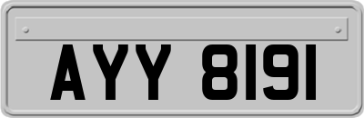 AYY8191