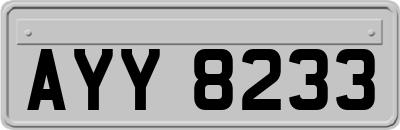 AYY8233