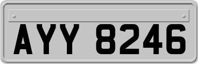 AYY8246