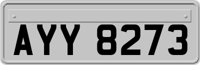 AYY8273