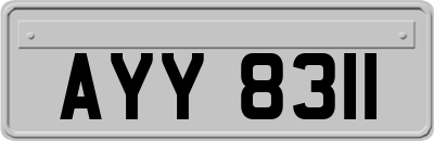 AYY8311