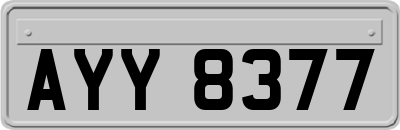 AYY8377