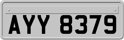 AYY8379