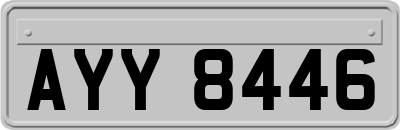 AYY8446
