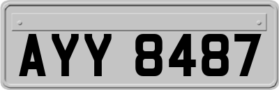 AYY8487
