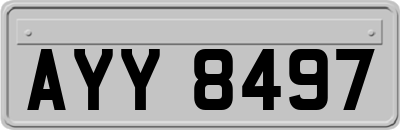 AYY8497