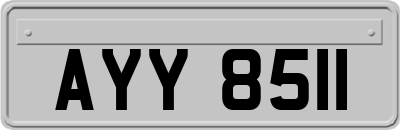 AYY8511