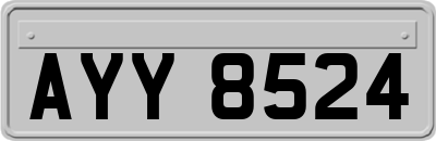 AYY8524