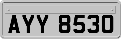 AYY8530