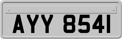 AYY8541