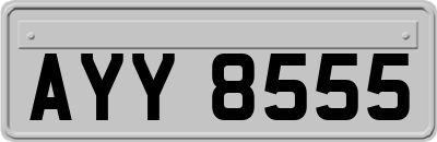 AYY8555