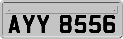 AYY8556