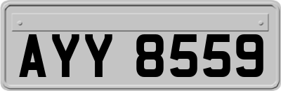 AYY8559