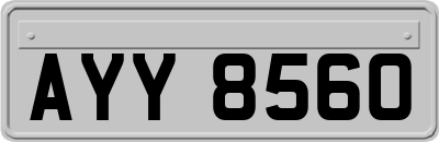 AYY8560