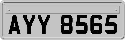 AYY8565