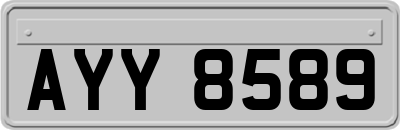 AYY8589