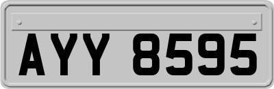 AYY8595