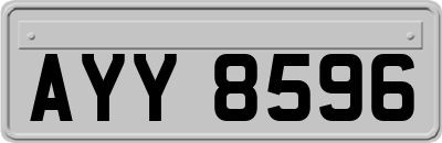 AYY8596
