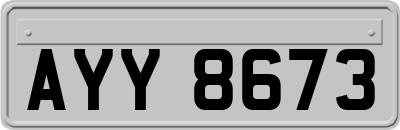 AYY8673