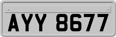 AYY8677