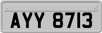 AYY8713