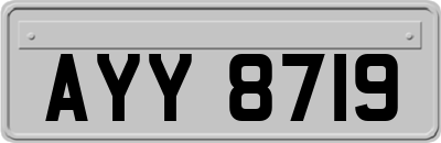 AYY8719