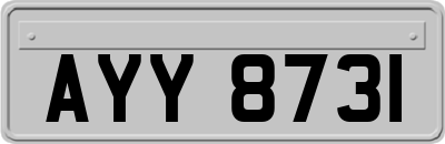 AYY8731