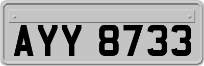 AYY8733