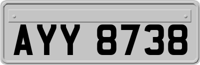 AYY8738