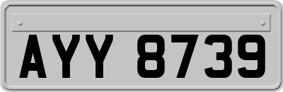 AYY8739