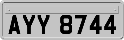 AYY8744