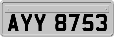 AYY8753