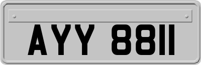 AYY8811