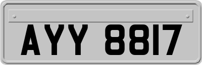 AYY8817