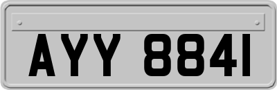 AYY8841