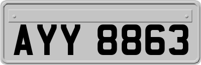 AYY8863
