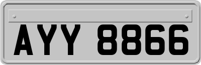 AYY8866