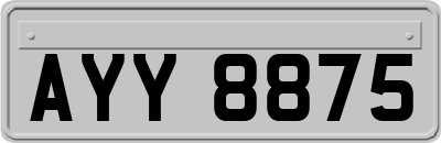 AYY8875