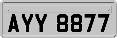 AYY8877