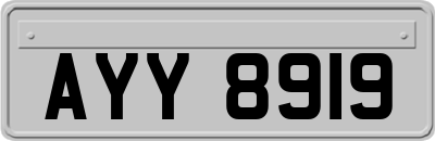 AYY8919
