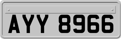 AYY8966