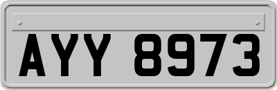 AYY8973