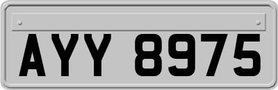 AYY8975