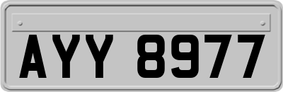 AYY8977