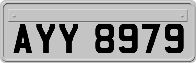 AYY8979