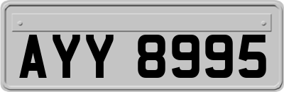 AYY8995