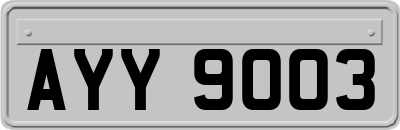 AYY9003