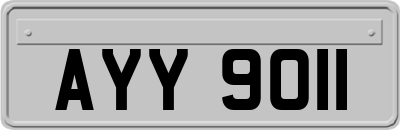 AYY9011