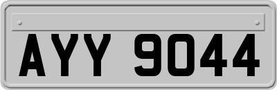 AYY9044