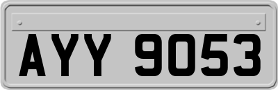 AYY9053